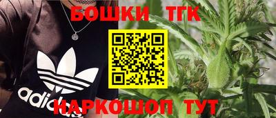 СК Обнинск