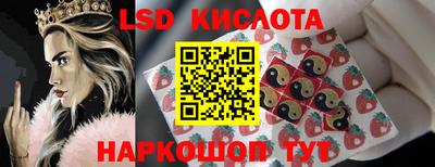 СК Обнинск