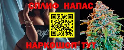 гашик Нягань